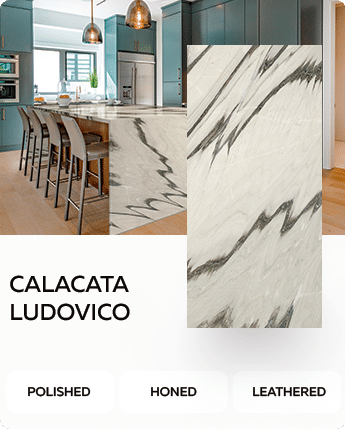 Ludovico